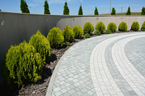 Best Driveway Paving Contractor  in Mission Viejo, CA